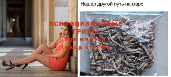 трава Переславль-Залесский