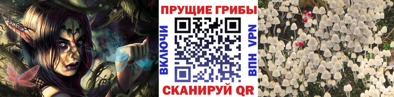 Галлюциногенные грибы ЛСД  Чекалин 
